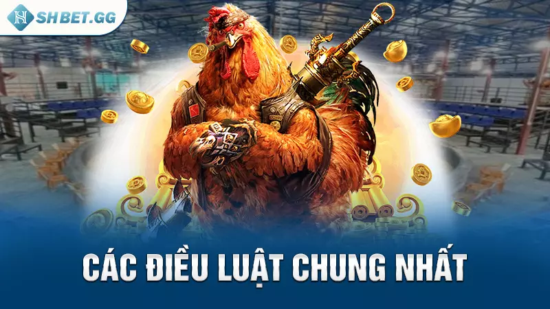 Sới gà Savan - Địa điểm diễn ra các trận đấu nảy lửa 6 Các điều luật chung nhất